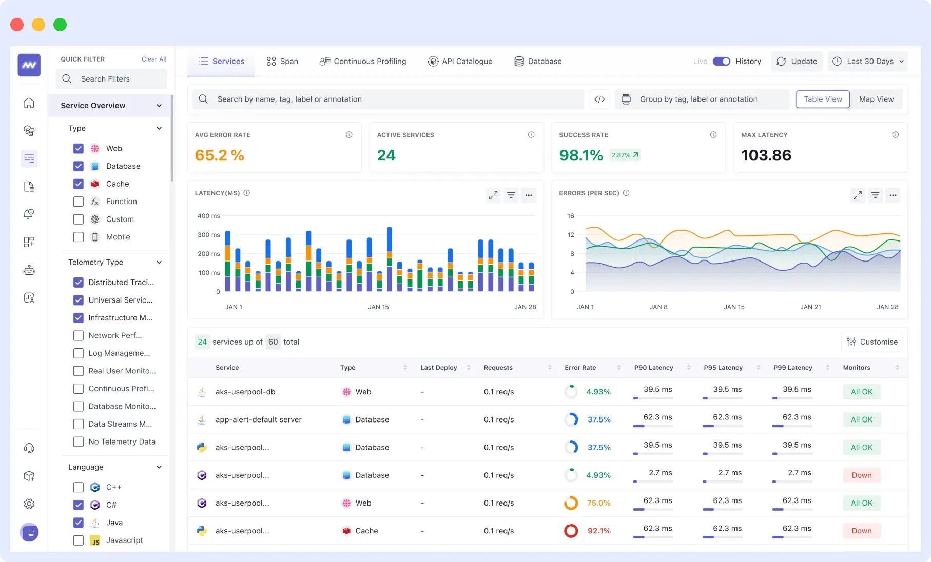 Middleware API monitoring 